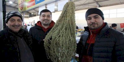 Amasya'nın Çiçek Bamyası Altın Fiyatlarını Geçti