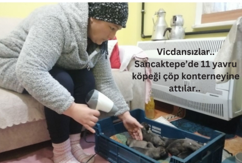 Vicdansızlar.. Sancaktepe’de 11 yavru köpeği  çöp konterneyine attılar