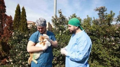 Karamürsel İlçesinde "Patilik Mutlu Sokak Hayvanları Kasabası". Kocaeli’nin Karamürsel ilçesinde